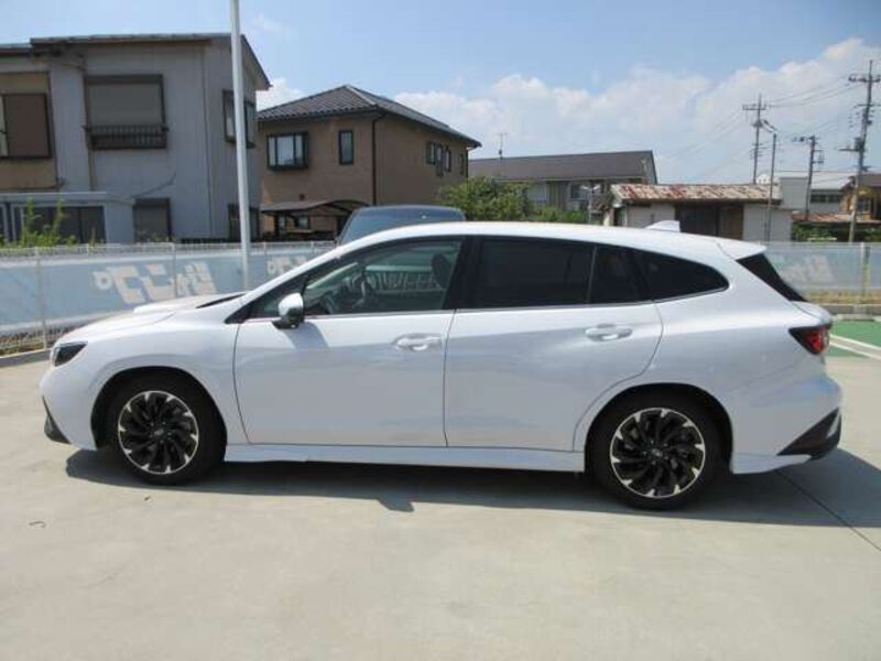 LEVORG