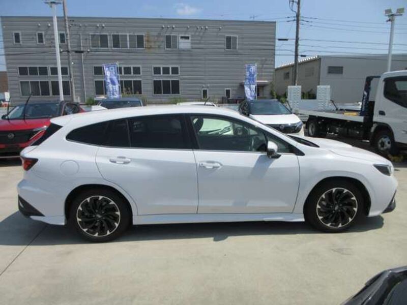 LEVORG