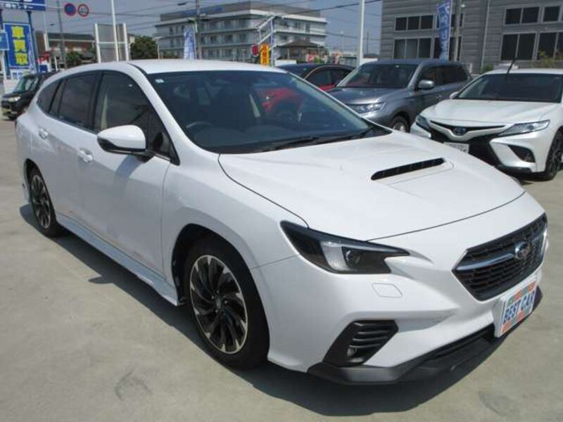 LEVORG