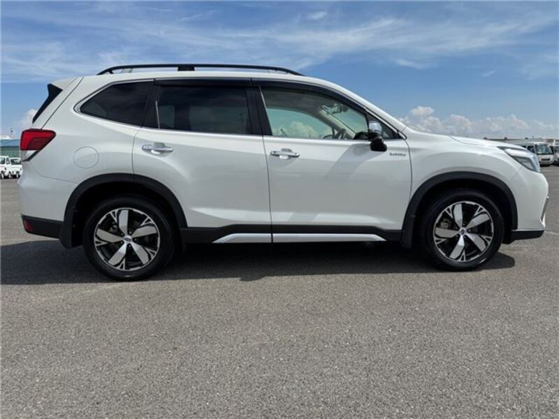 FORESTER