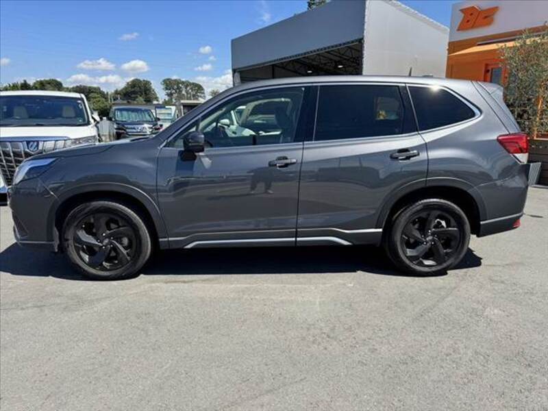FORESTER