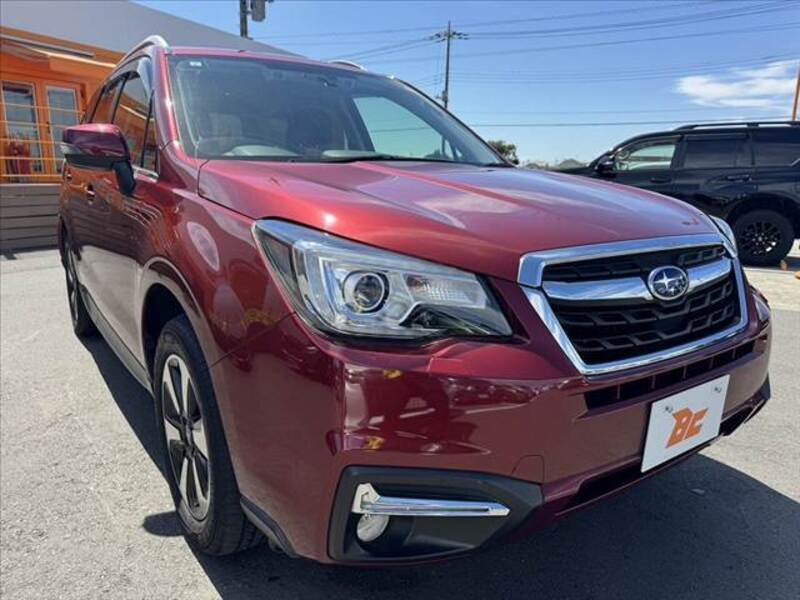 FORESTER