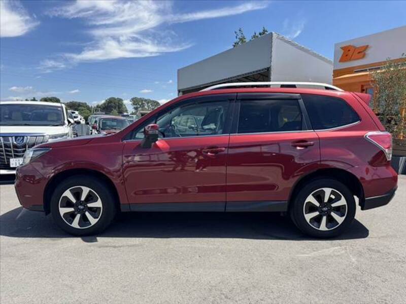 FORESTER