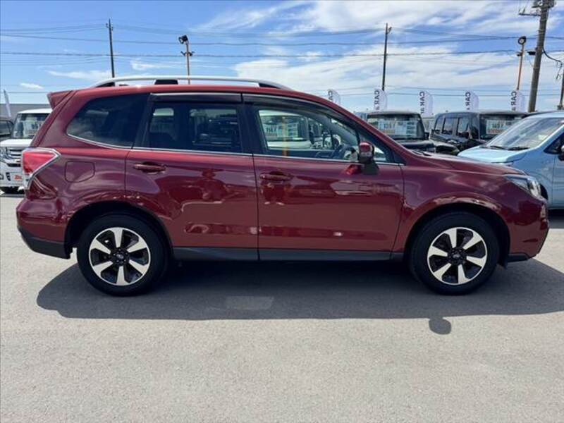 FORESTER