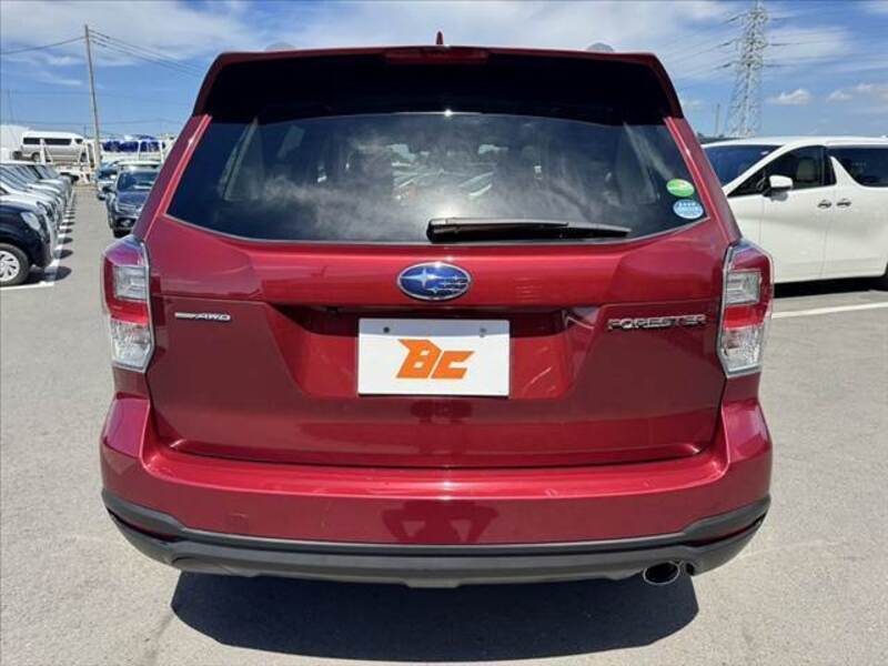FORESTER