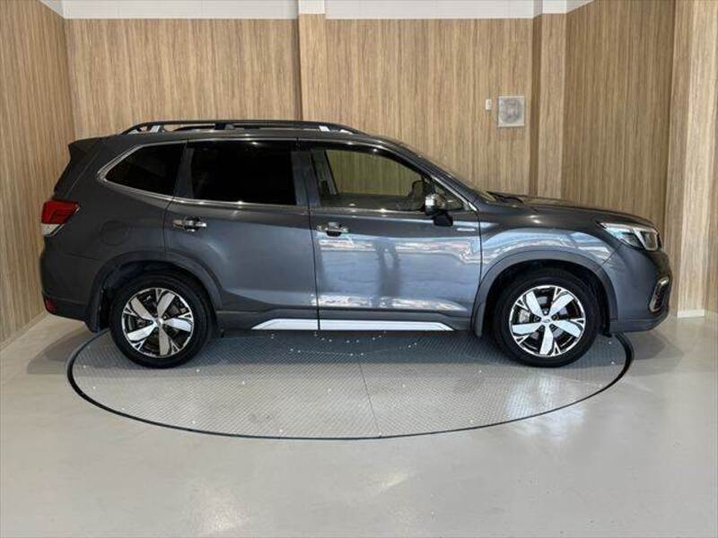 FORESTER