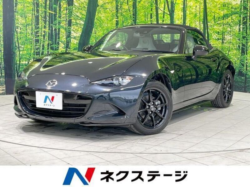 ROADSTER-0
