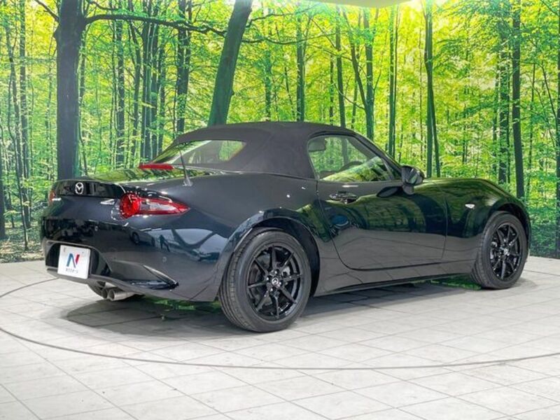 ROADSTER