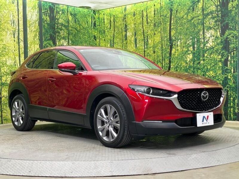 CX-30