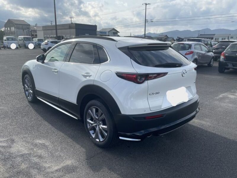 CX-30