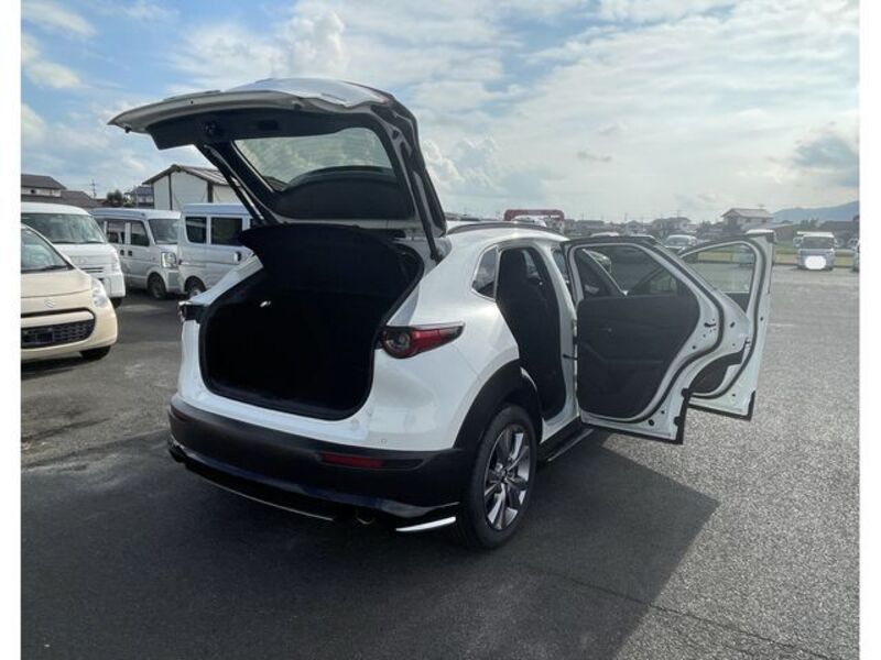 CX-30