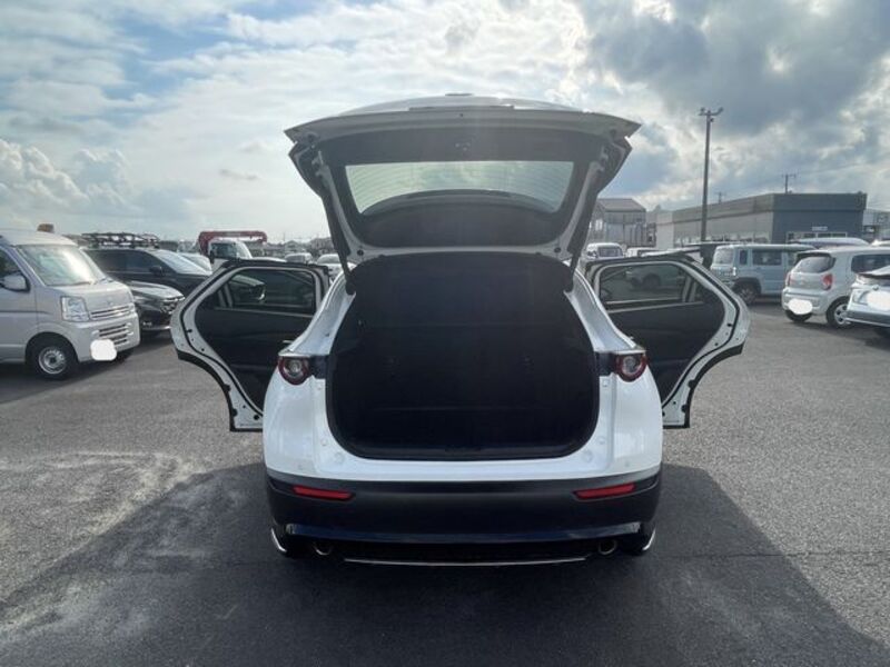 CX-30