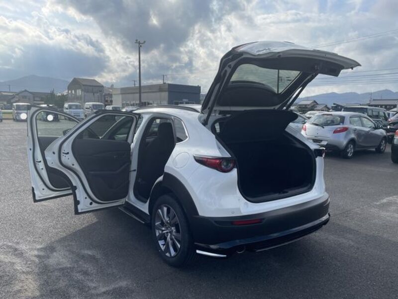 CX-30