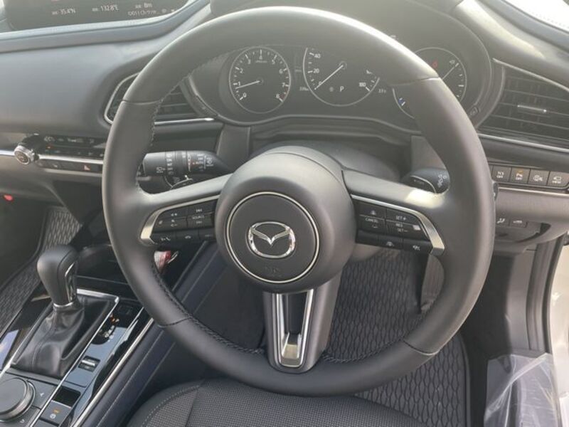 CX-30