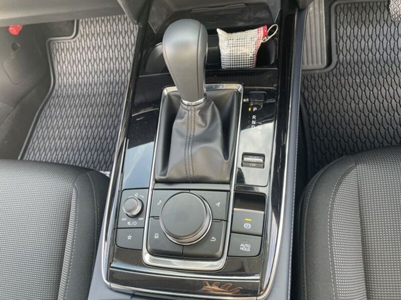 CX-30