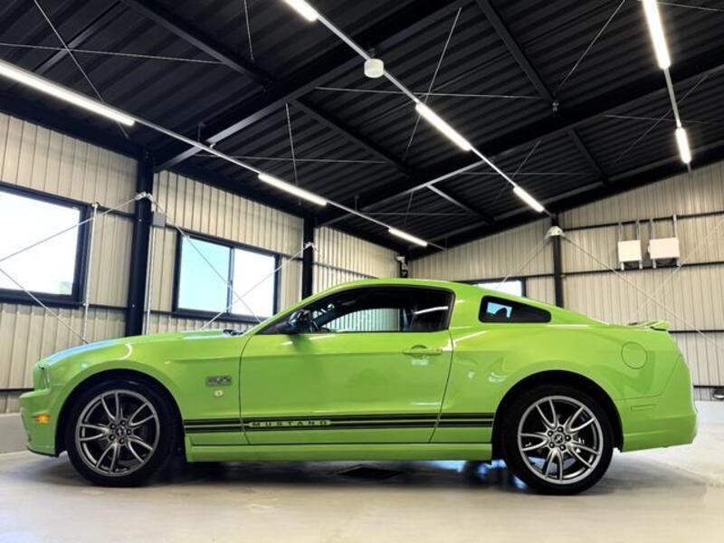 MUSTANG