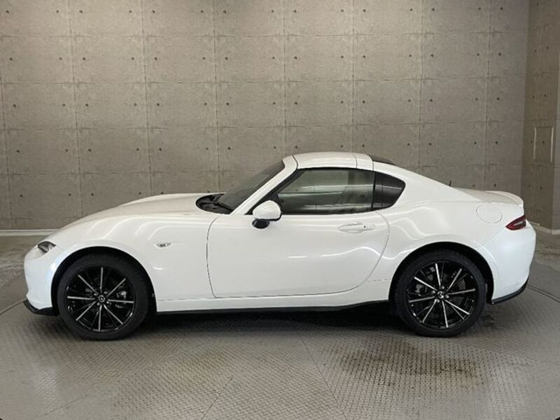 ROADSTER RF