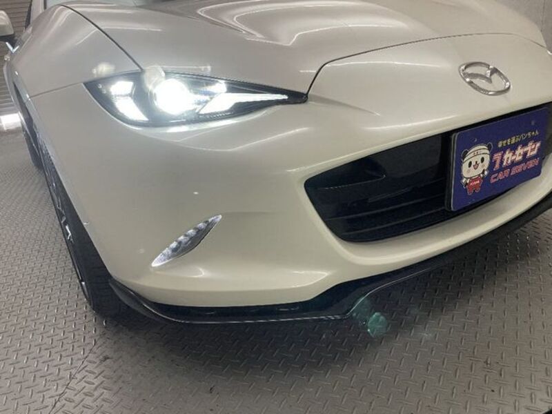 ROADSTER RF