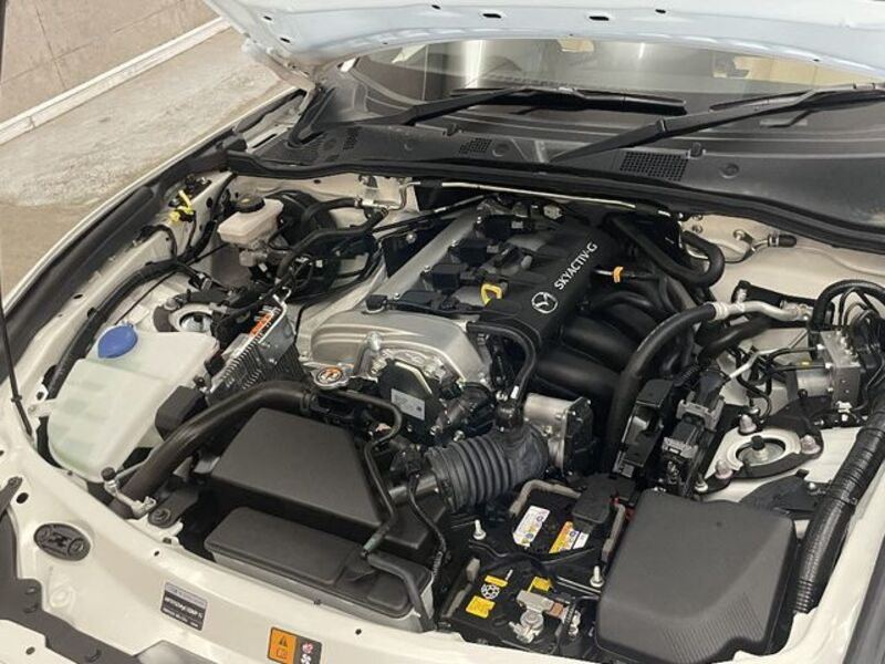 ROADSTER RF