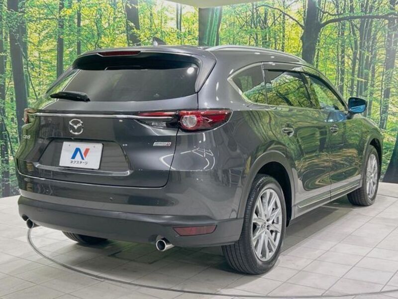 CX-8
