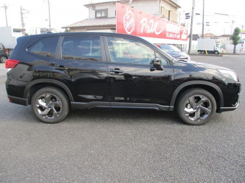 FORESTER
