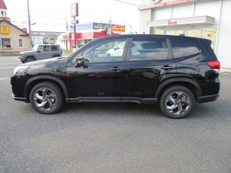 FORESTER