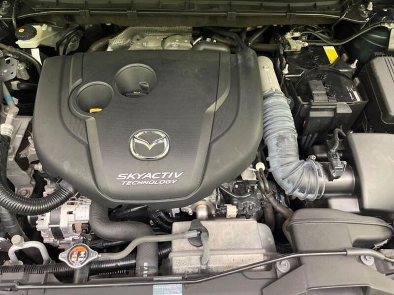 CX-8