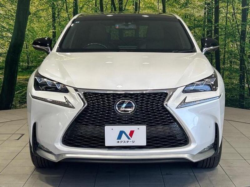 NX