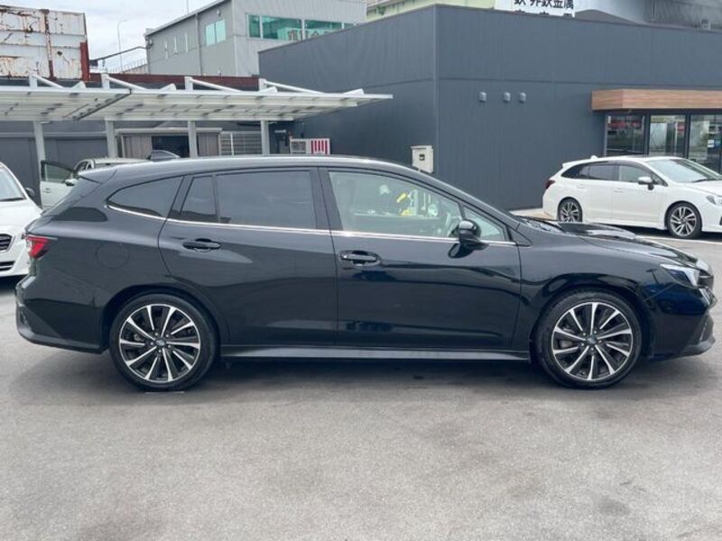 LEVORG