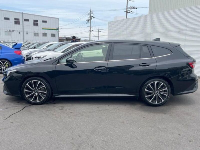 LEVORG