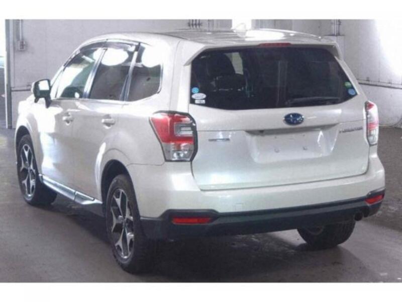 FORESTER