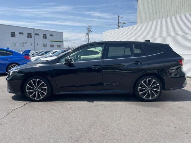 LEVORG