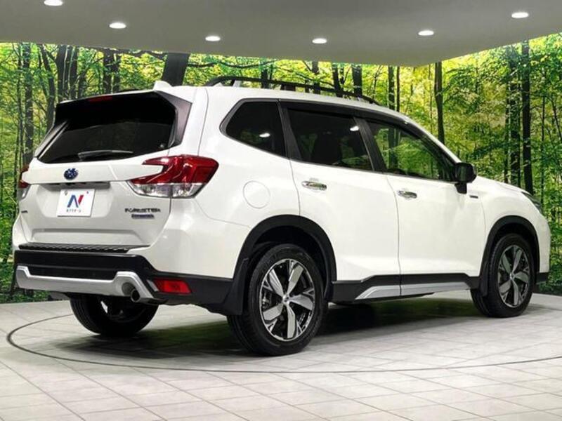 FORESTER