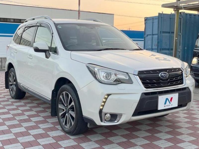 FORESTER