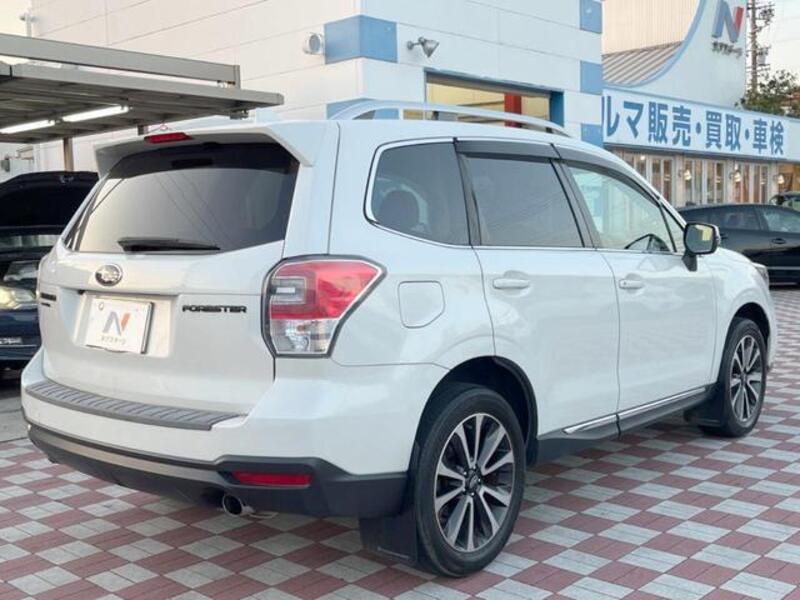 FORESTER