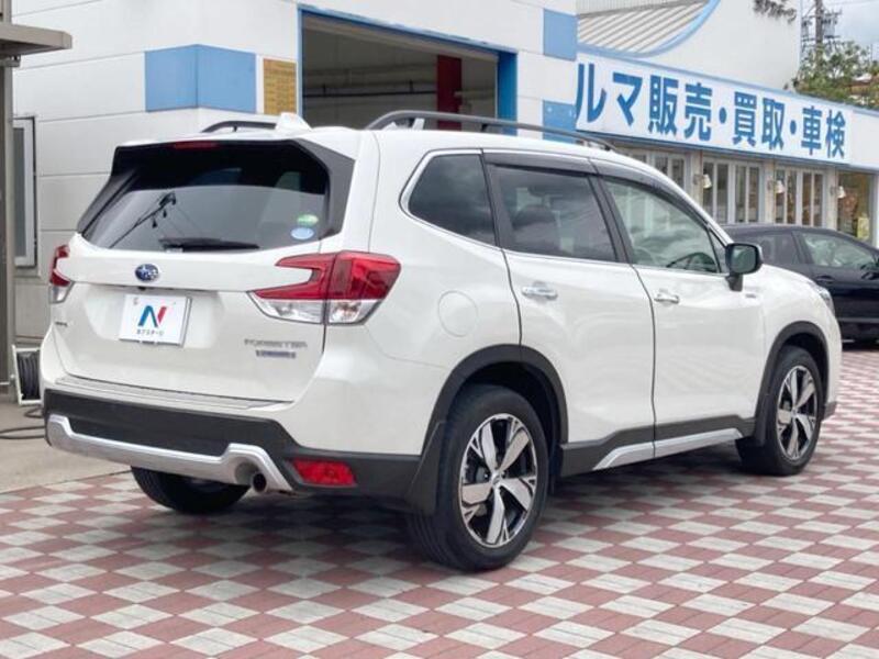 FORESTER