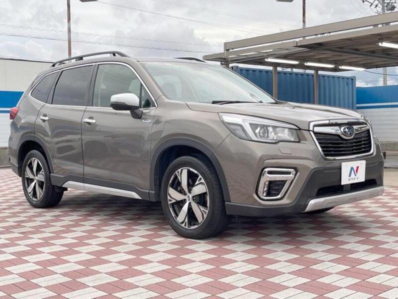 FORESTER