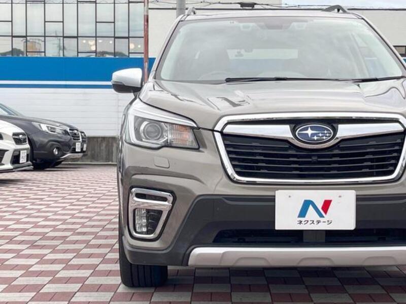 FORESTER