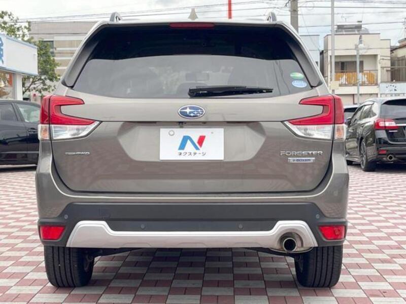 FORESTER