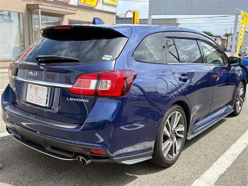 LEVORG