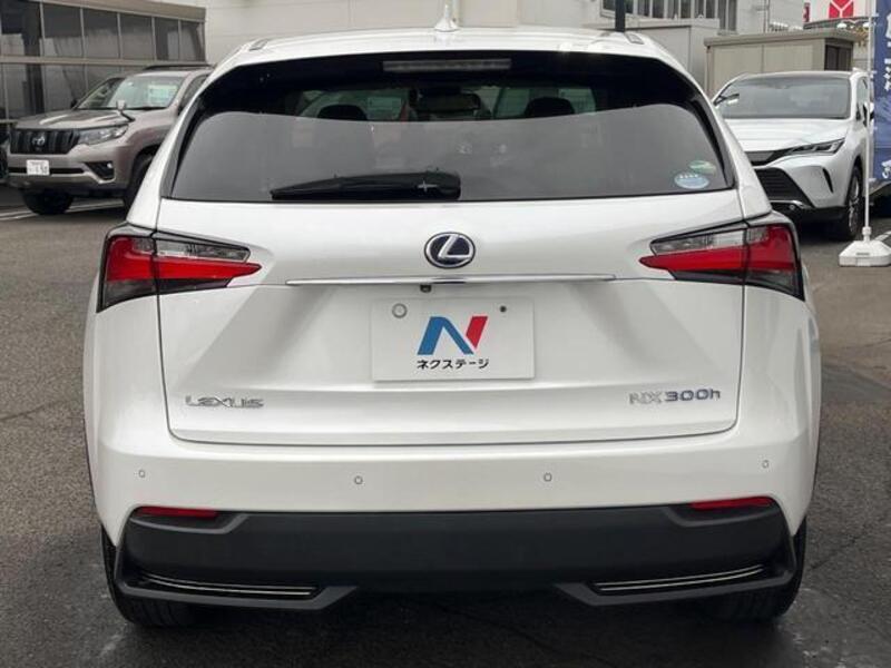 NX