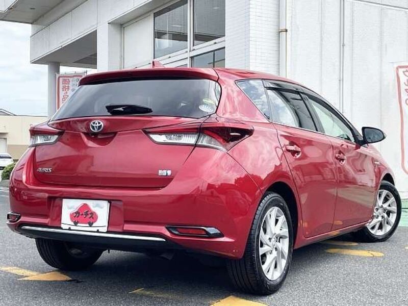 AURIS HYBRID