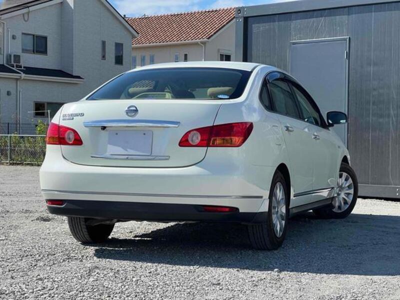 BLUEBIRD SYLPHY