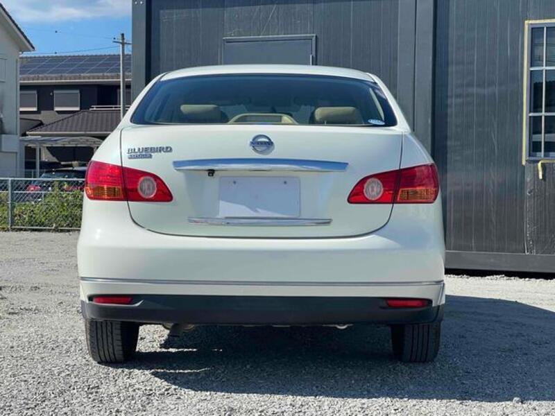 BLUEBIRD SYLPHY