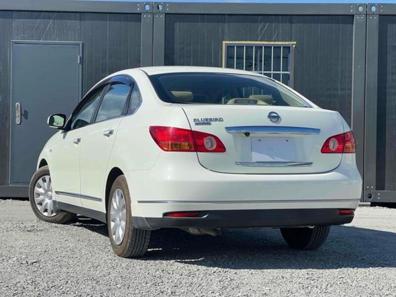 BLUEBIRD SYLPHY