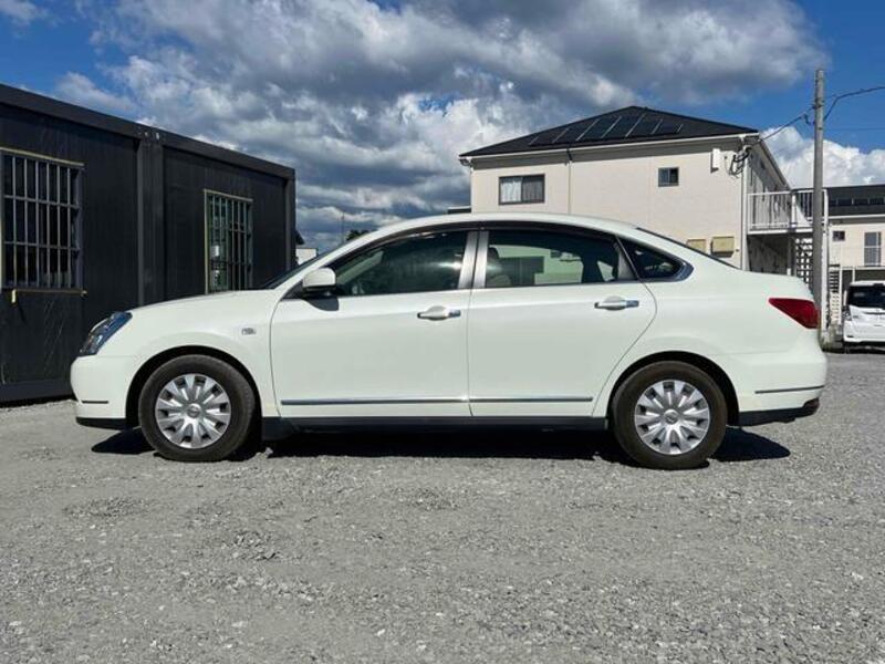 BLUEBIRD SYLPHY