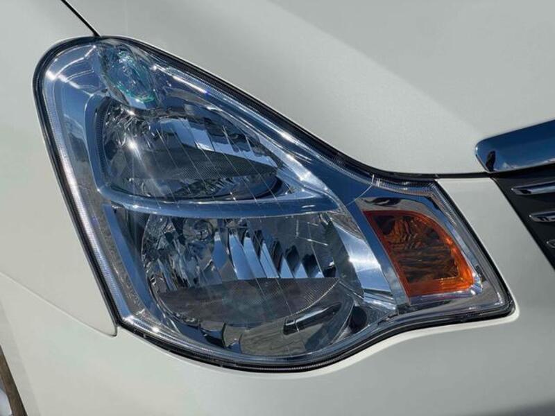 BLUEBIRD SYLPHY
