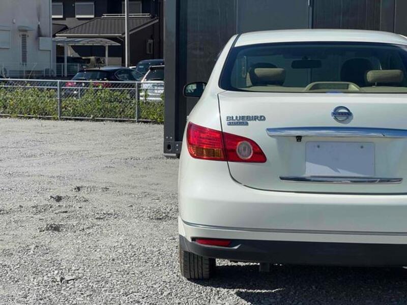 BLUEBIRD SYLPHY