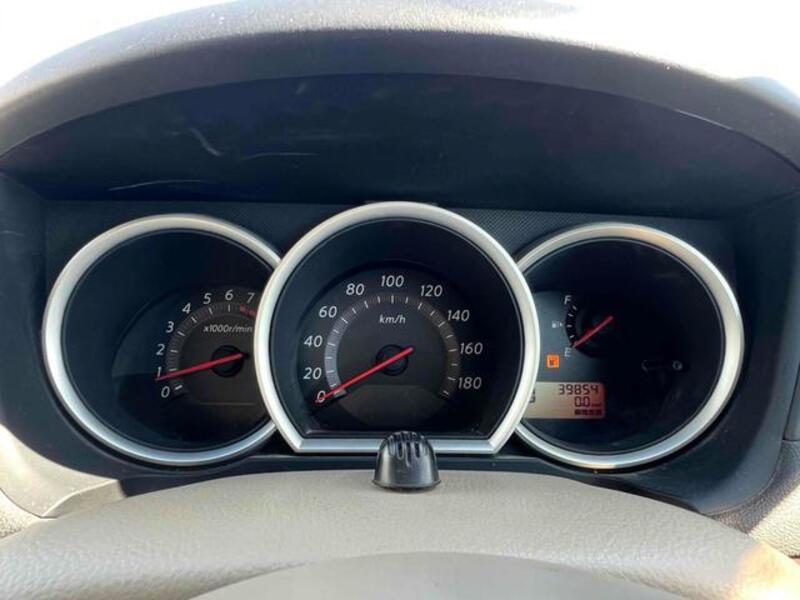 BLUEBIRD SYLPHY