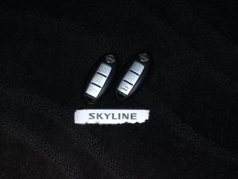 SKYLINE